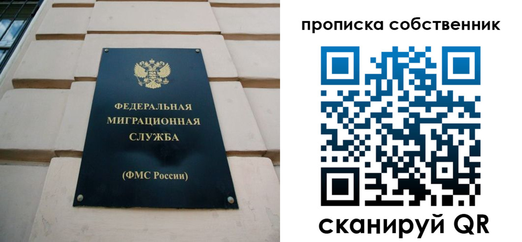 прописка законно в Алейске
